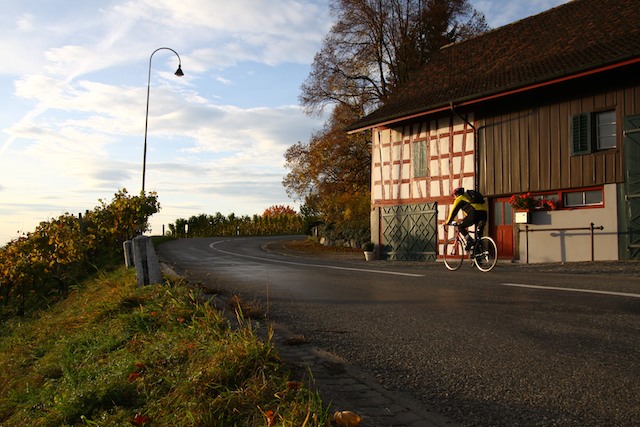 Weinfelden 8